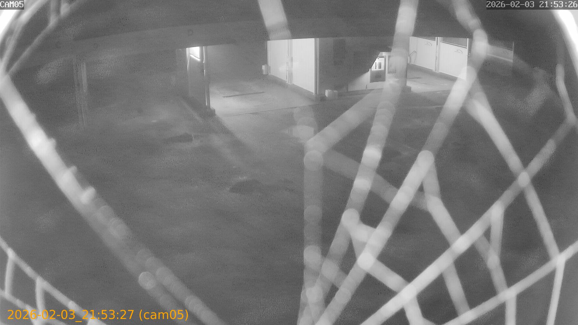 thumbnail_20260203215327