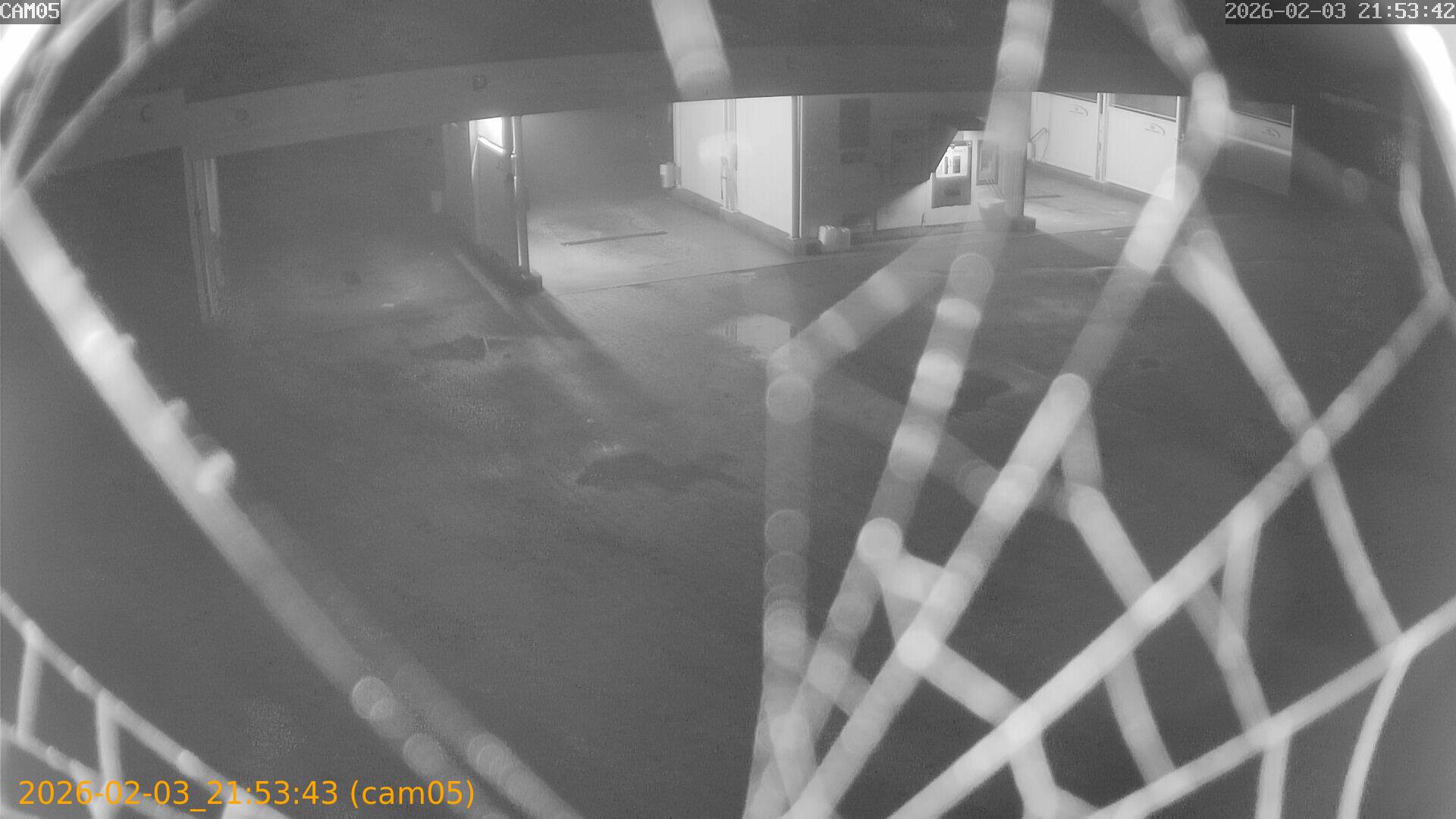 thumbnail_20260203215343