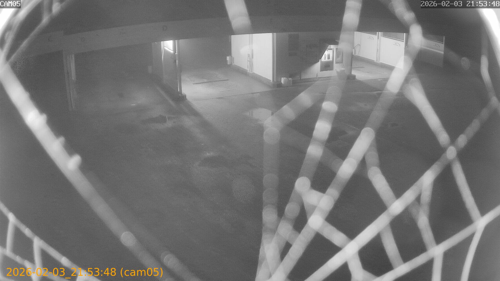 thumbnail_20260203215348