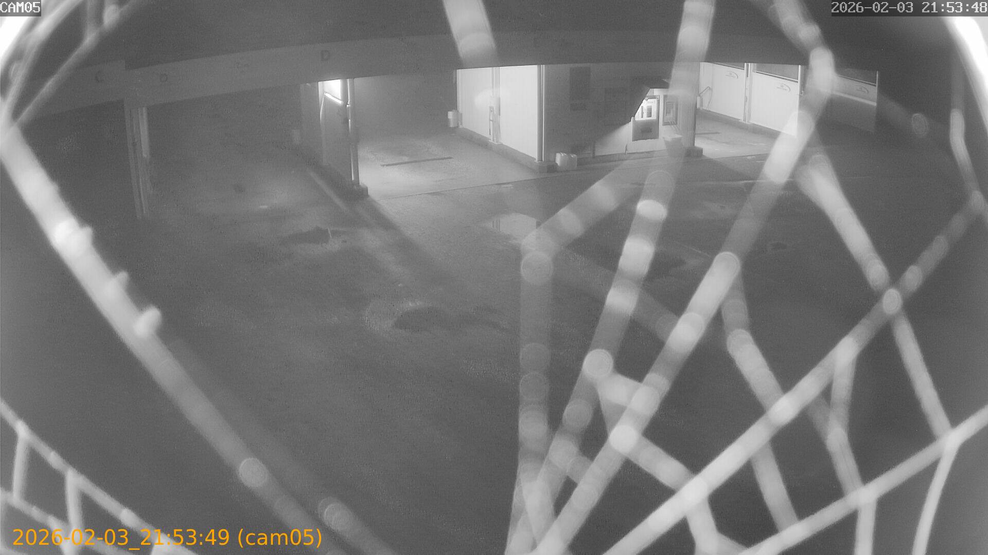 thumbnail_20260203215349