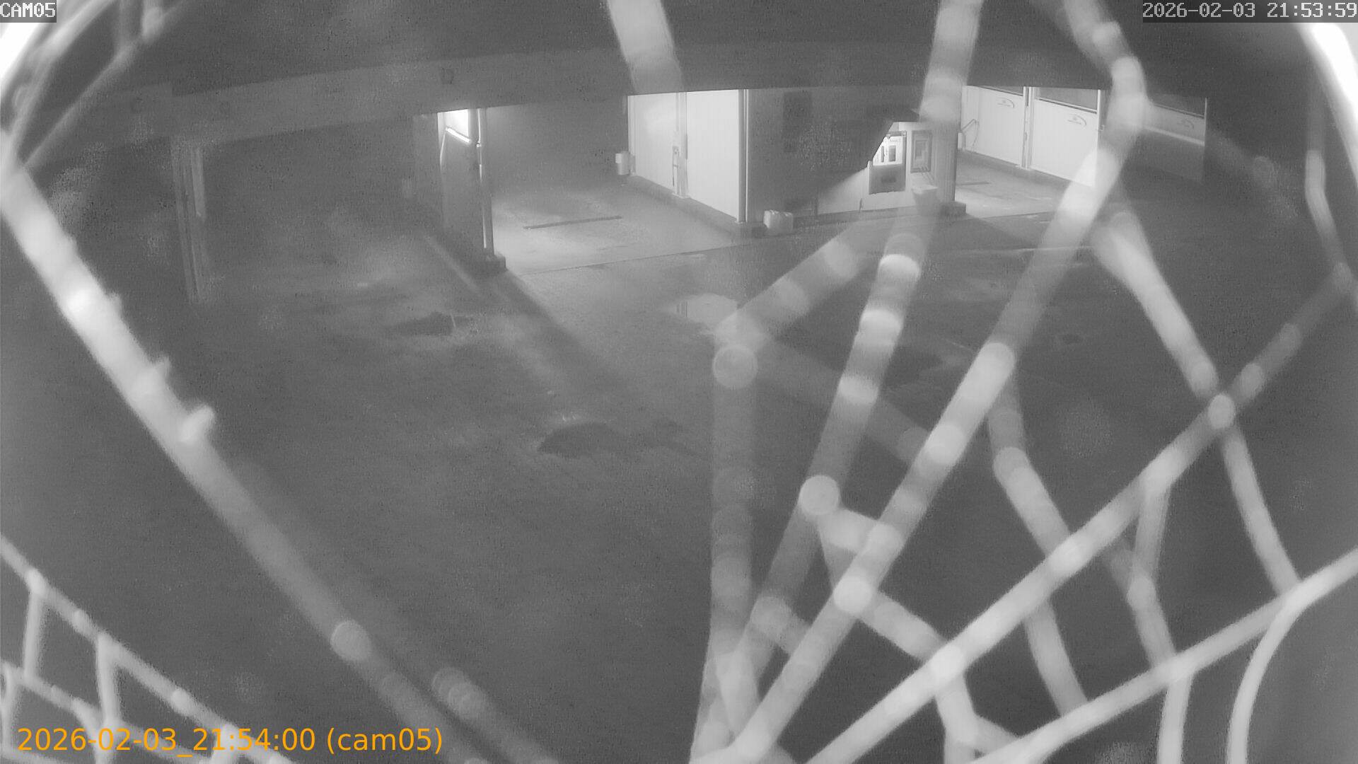 thumbnail_20260203215400