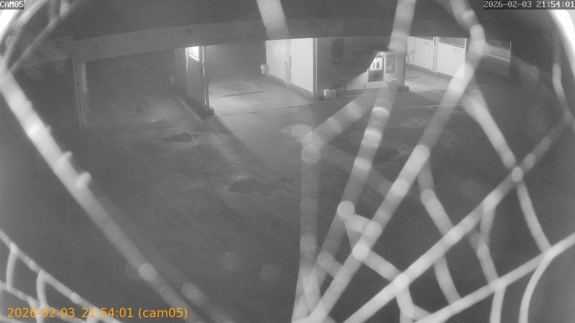 thumbnail_20260203215401