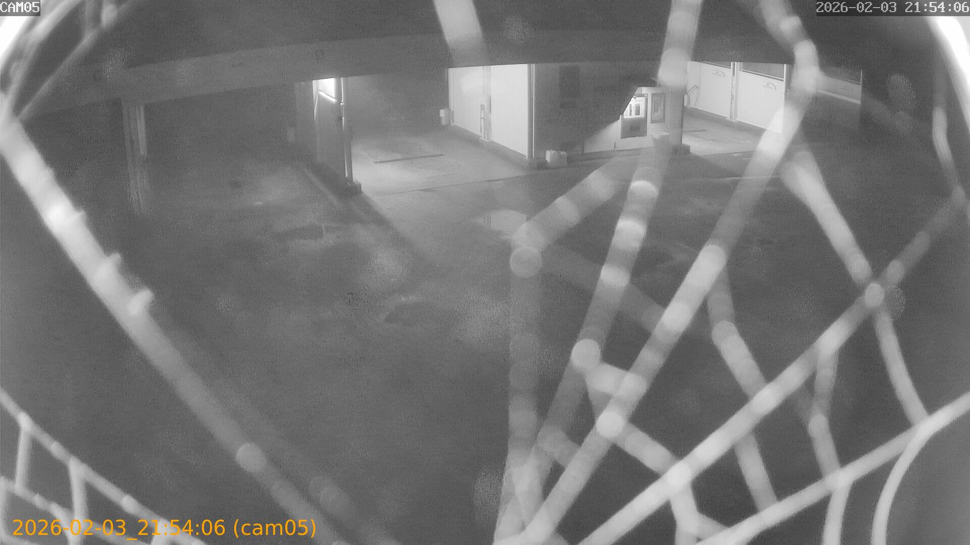 thumbnail_20260203215406