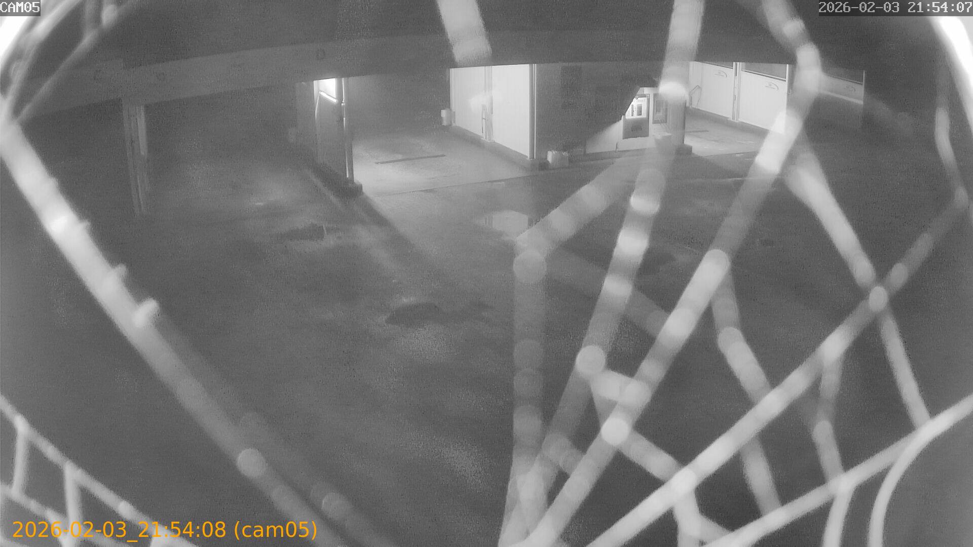 thumbnail_20260203215408