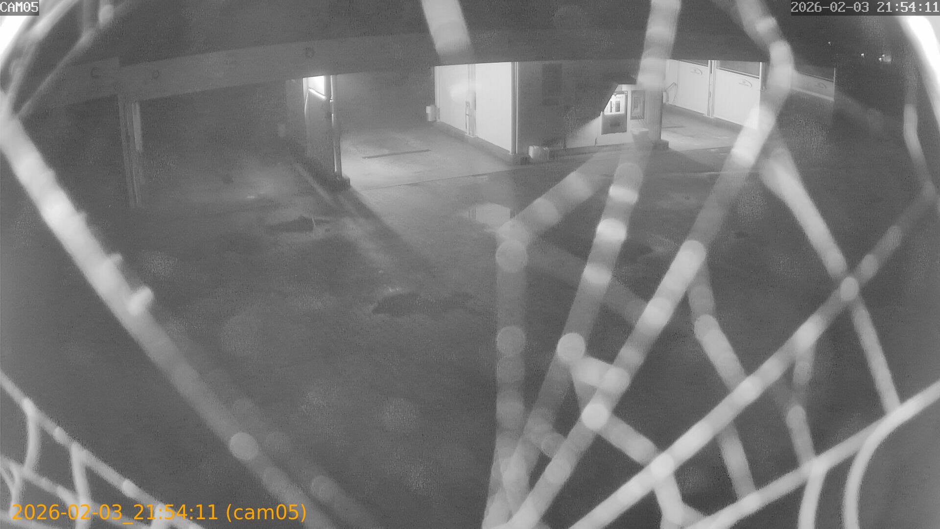 thumbnail_20260203215411