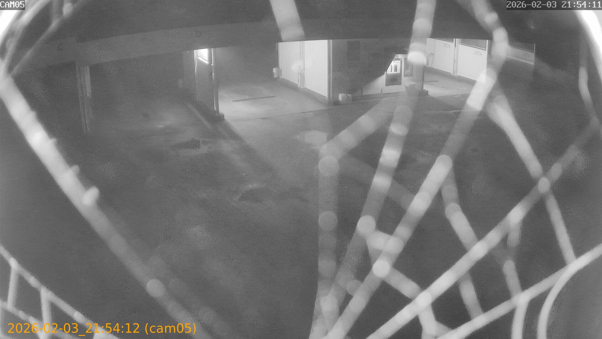 thumbnail_20260203215412