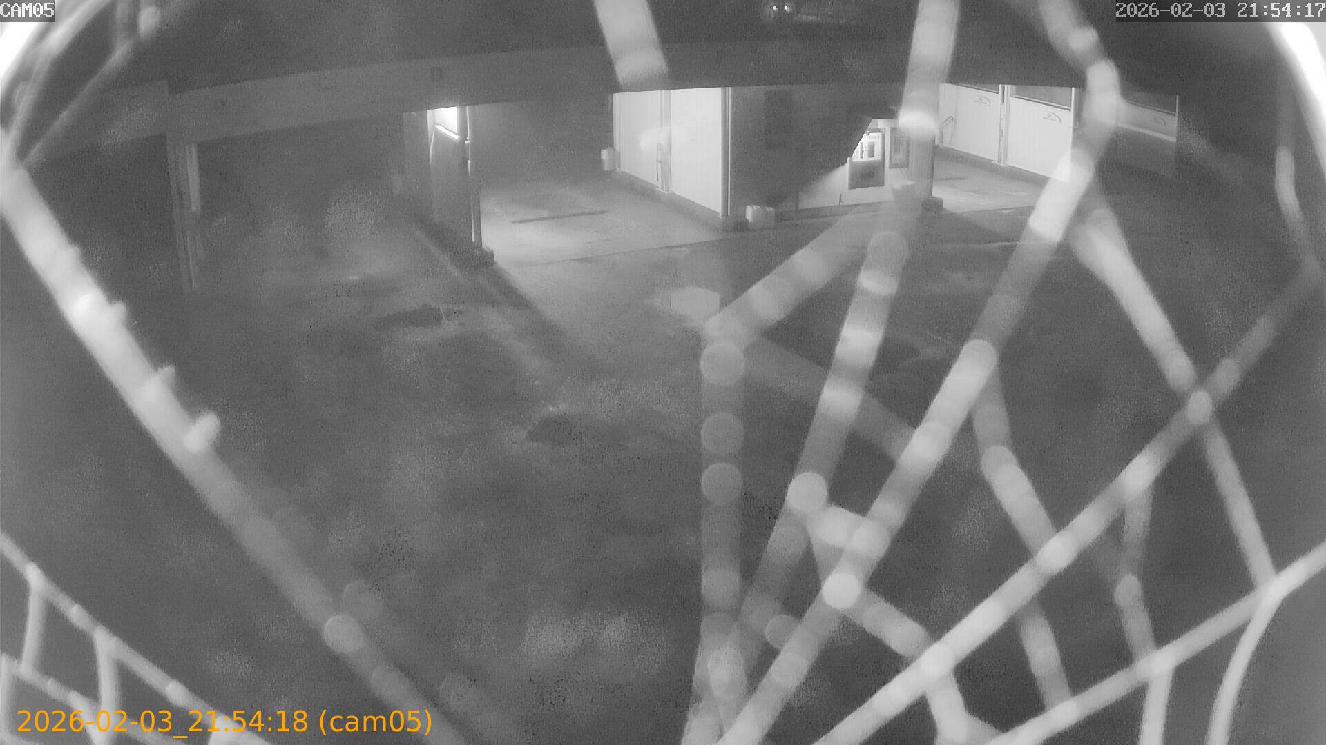 thumbnail_20260203215418