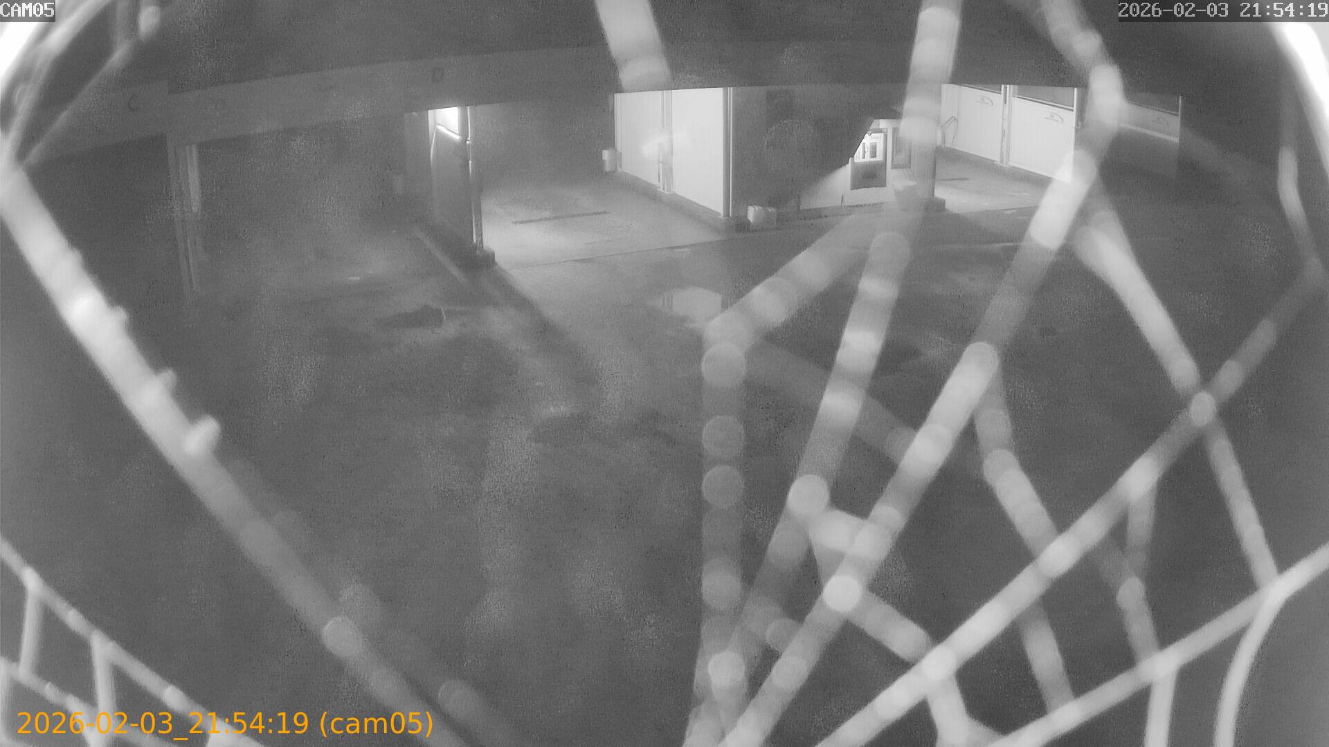 thumbnail_20260203215419