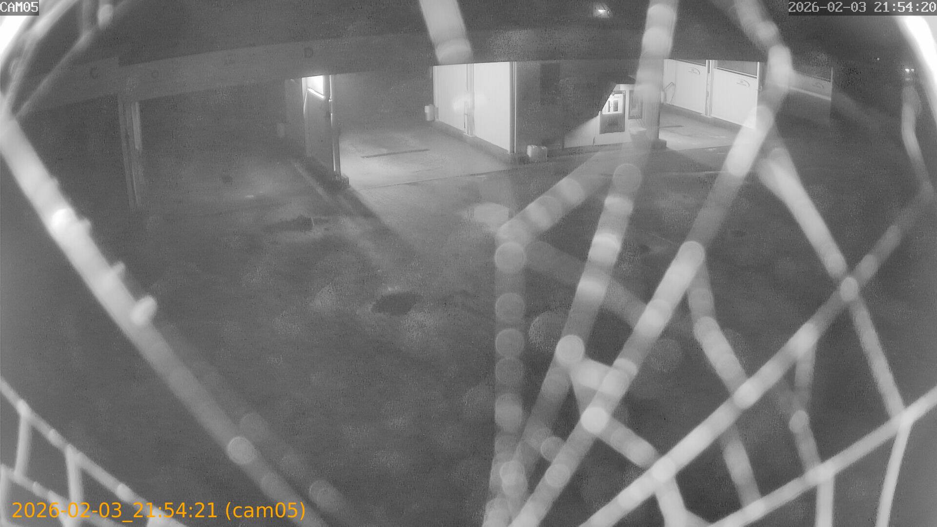 thumbnail_20260203215421