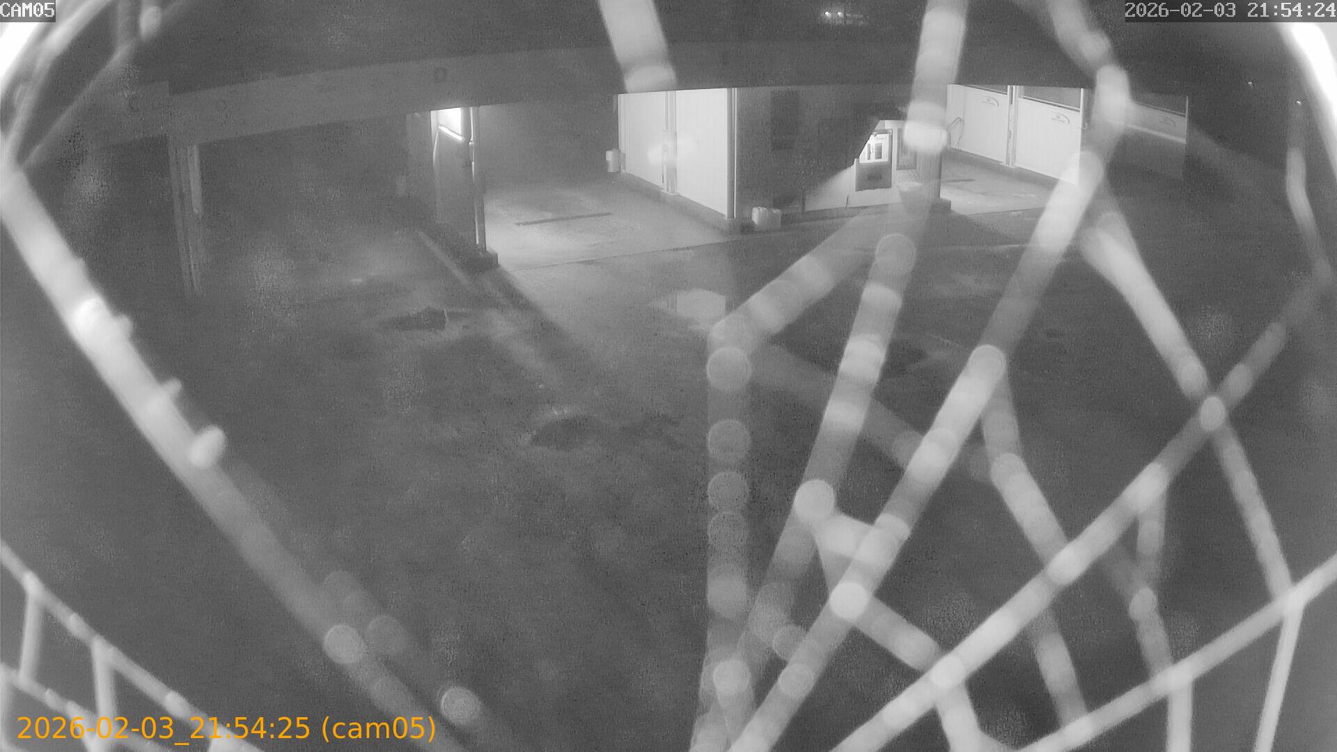 thumbnail_20260203215425