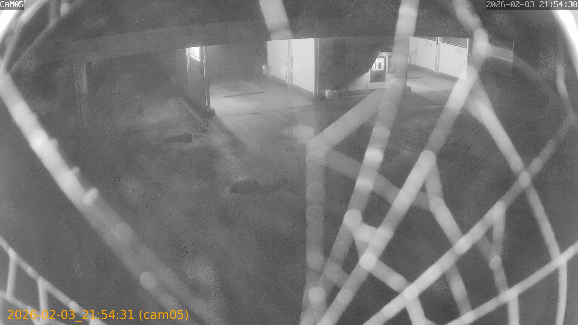 thumbnail_20260203215431