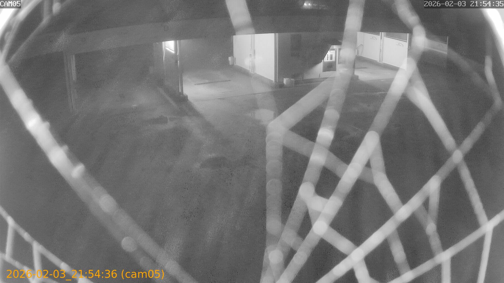 thumbnail_20260203215436