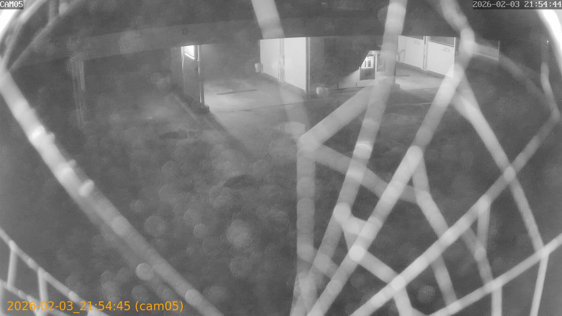 thumbnail_20260203215445