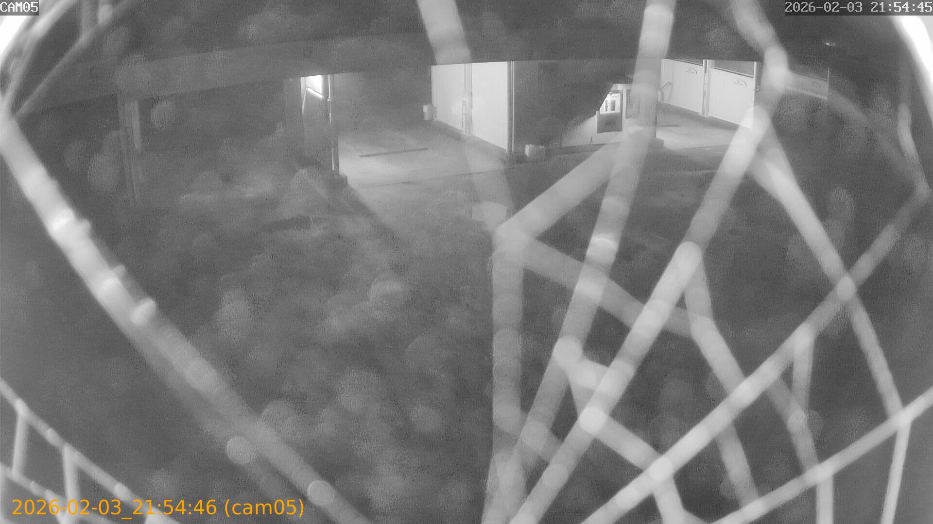 thumbnail_20260203215446