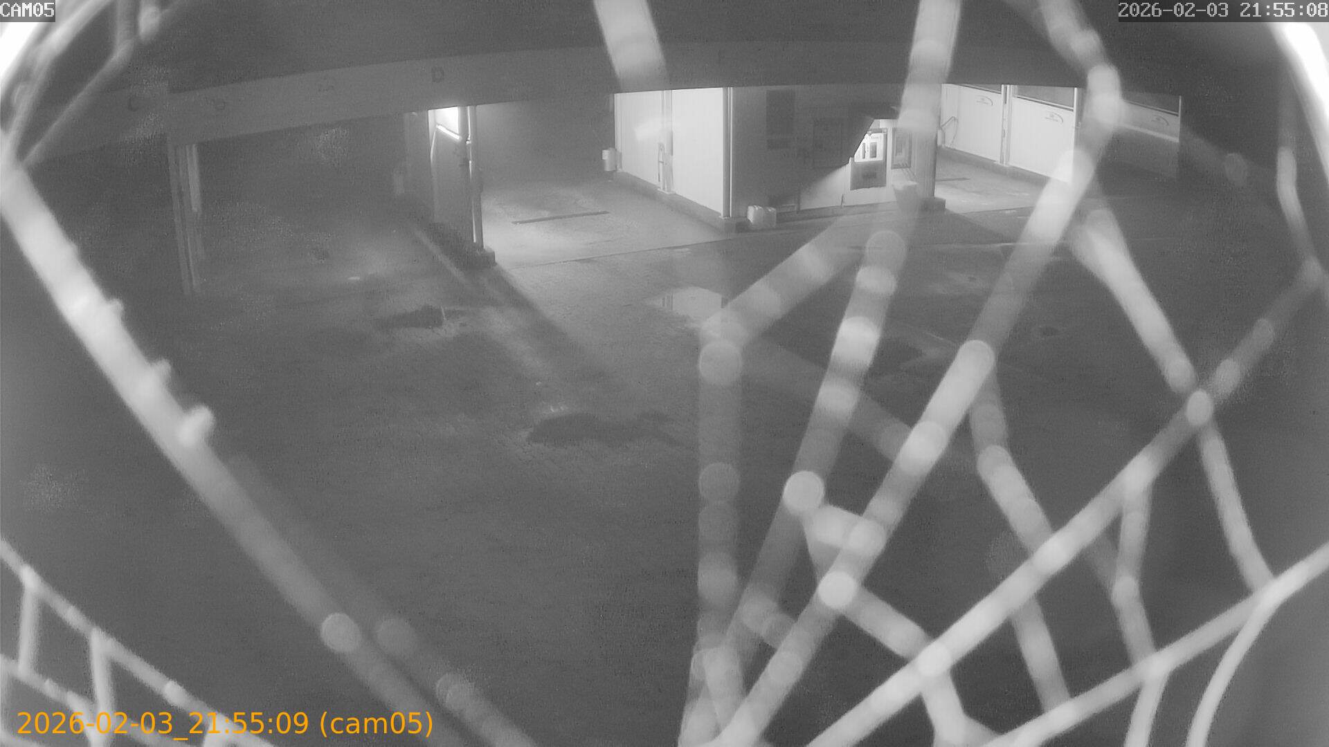 thumbnail_20260203215509