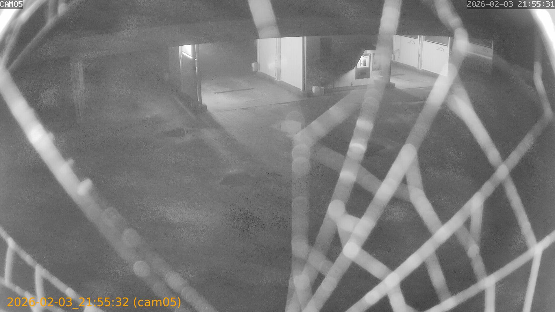 thumbnail_20260203215532