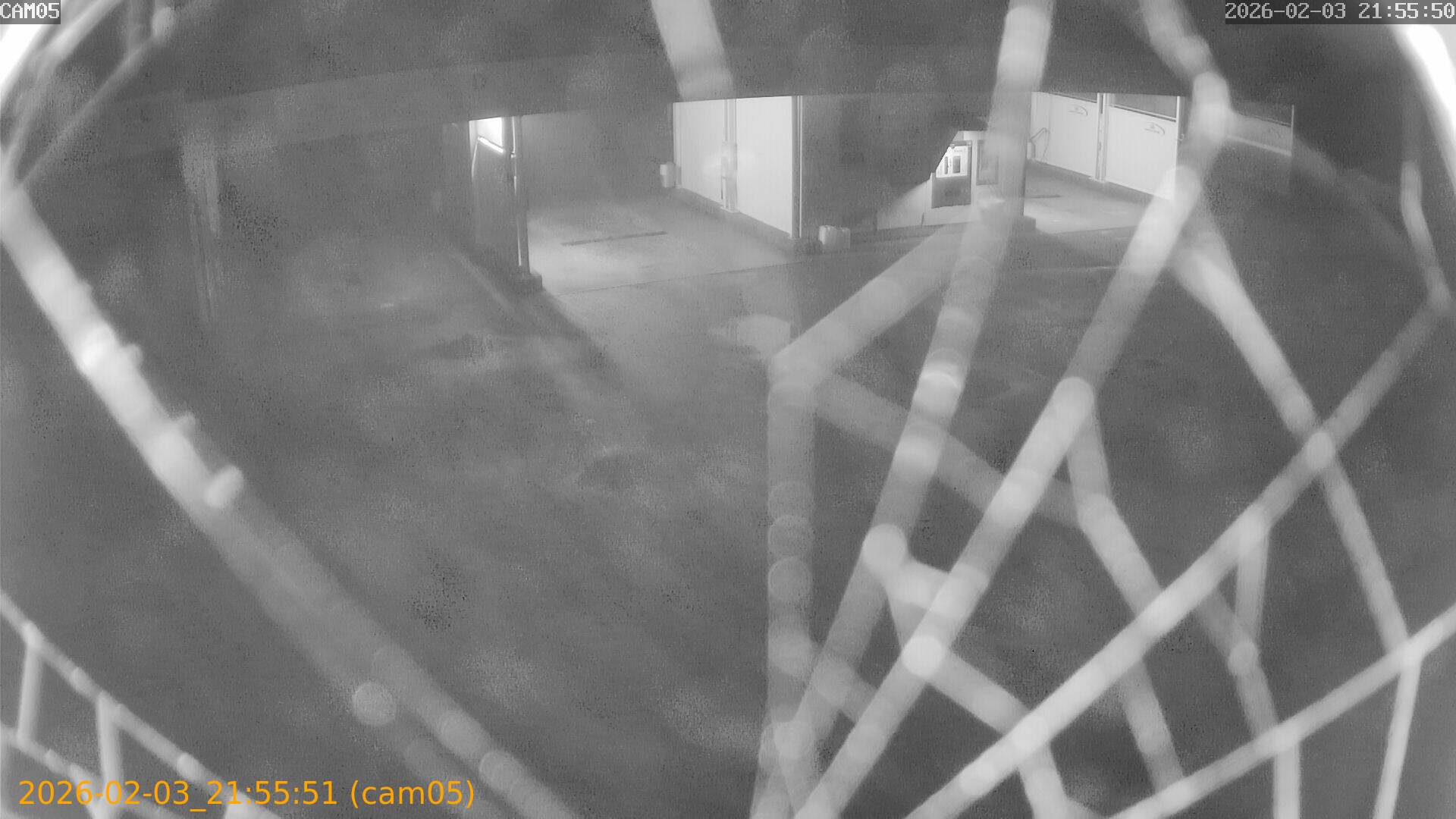 thumbnail_20260203215551