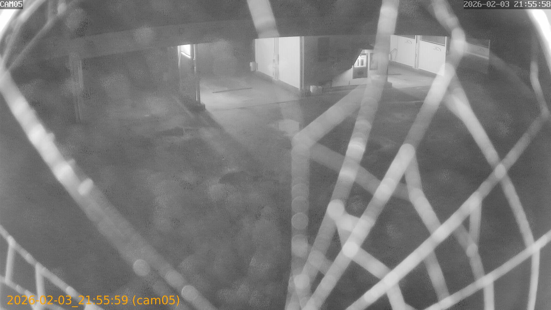 thumbnail_20260203215559