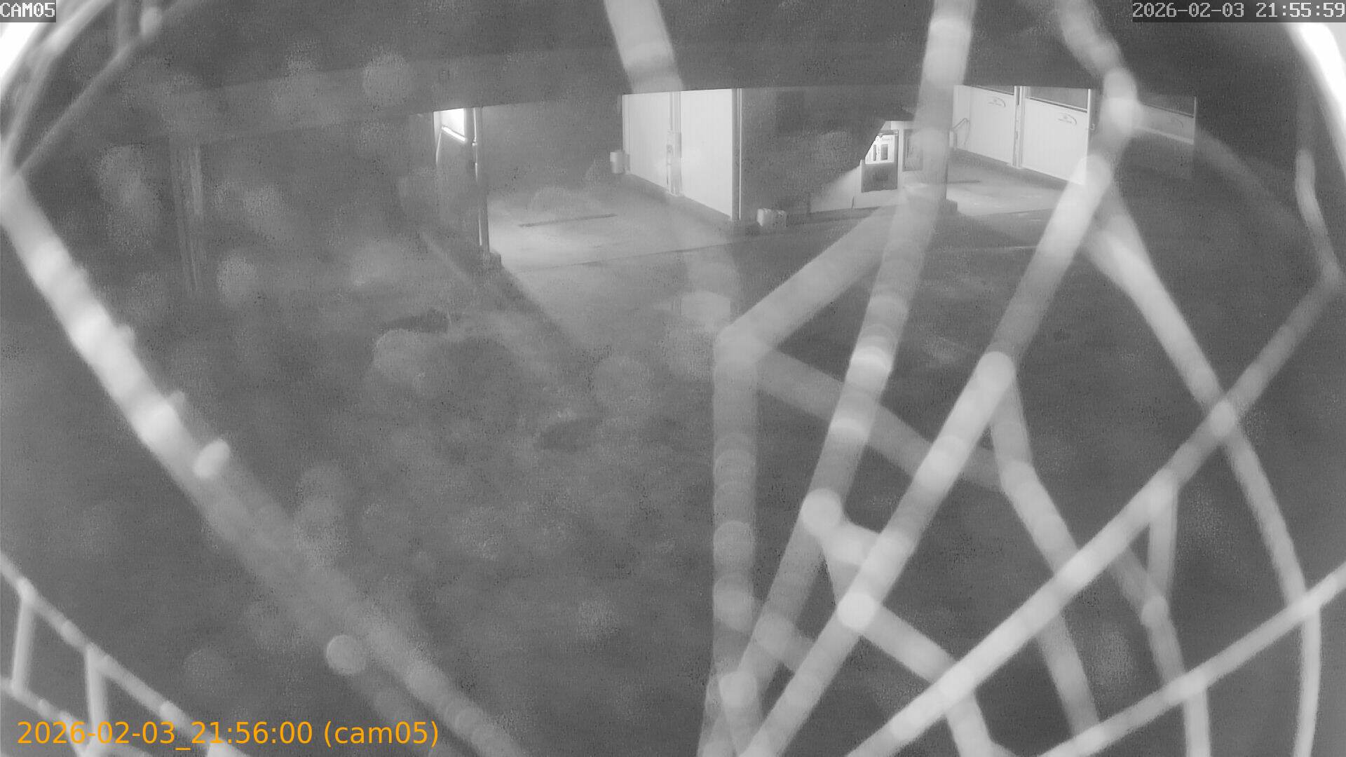 thumbnail_20260203215600