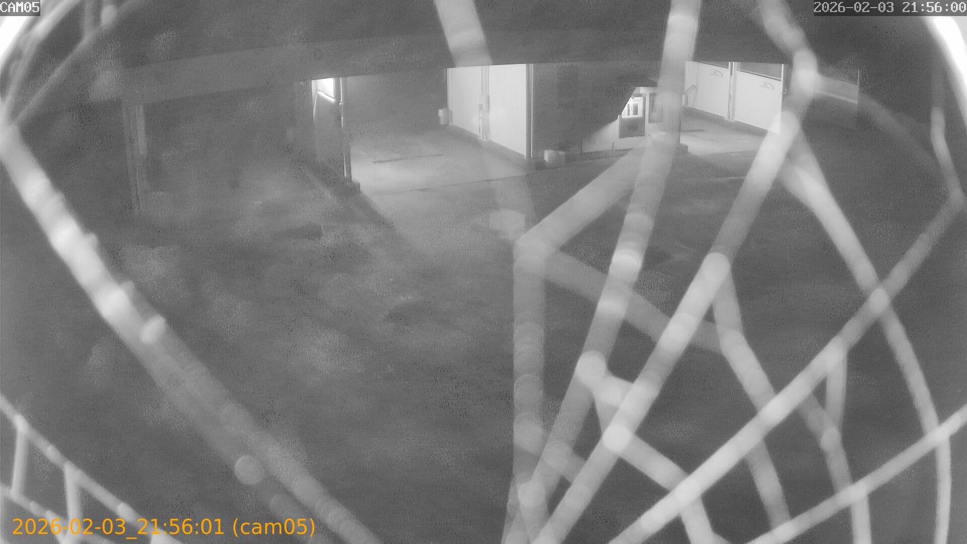 thumbnail_20260203215601