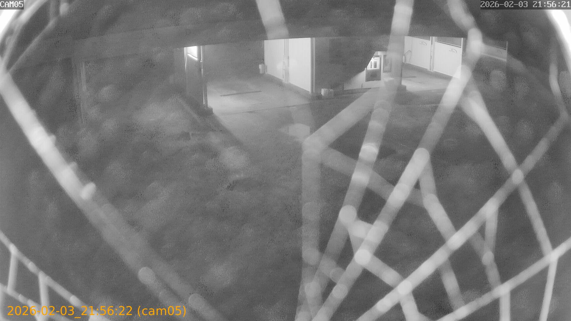 thumbnail_20260203215622