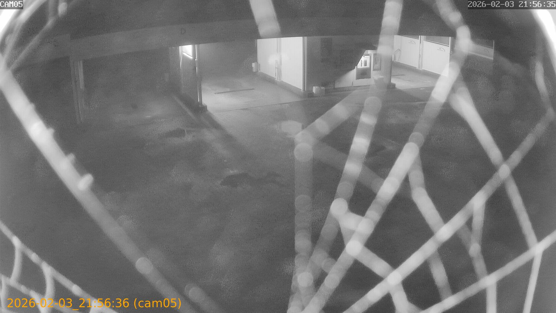 thumbnail_20260203215636