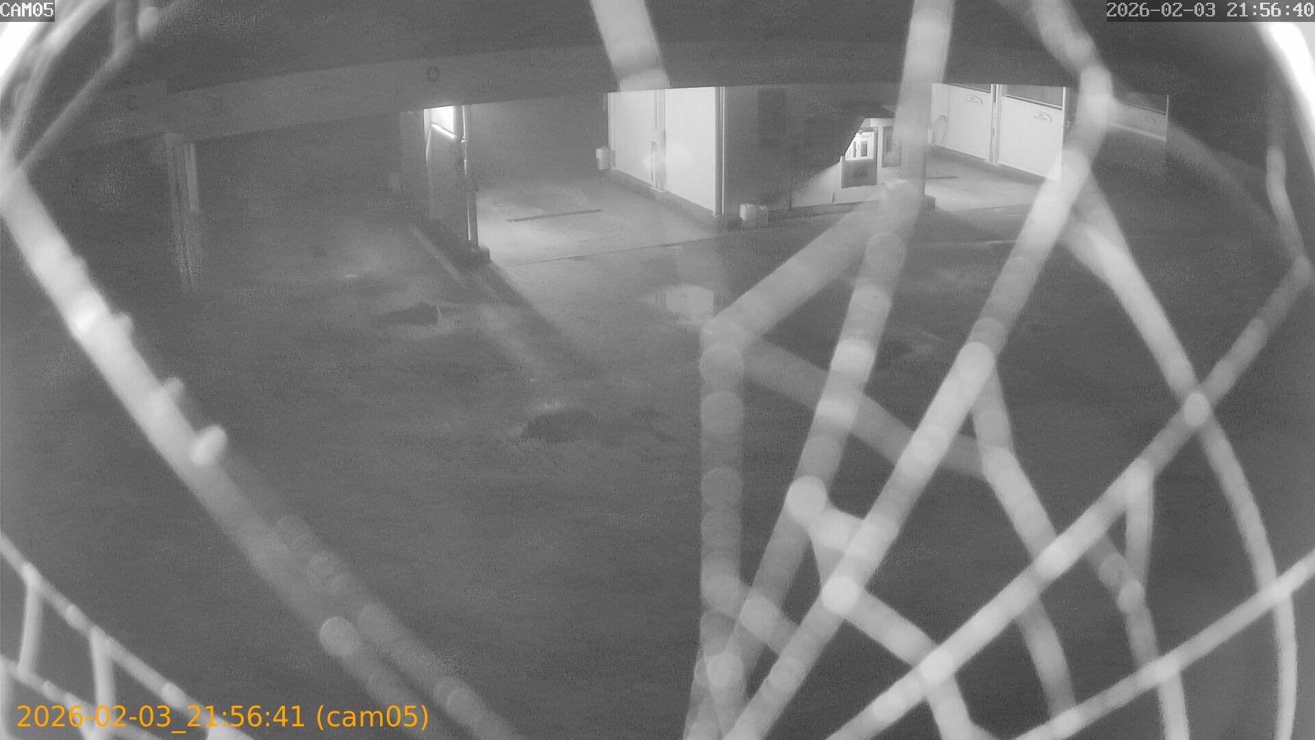 thumbnail_20260203215641