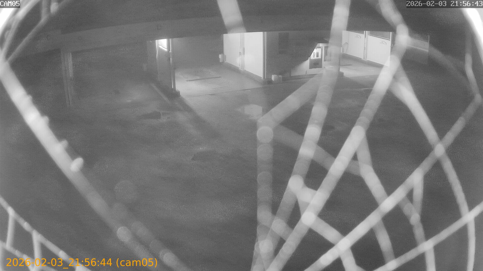 thumbnail_20260203215644