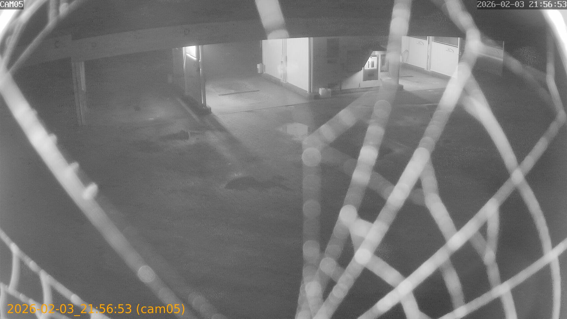 thumbnail_20260203215653