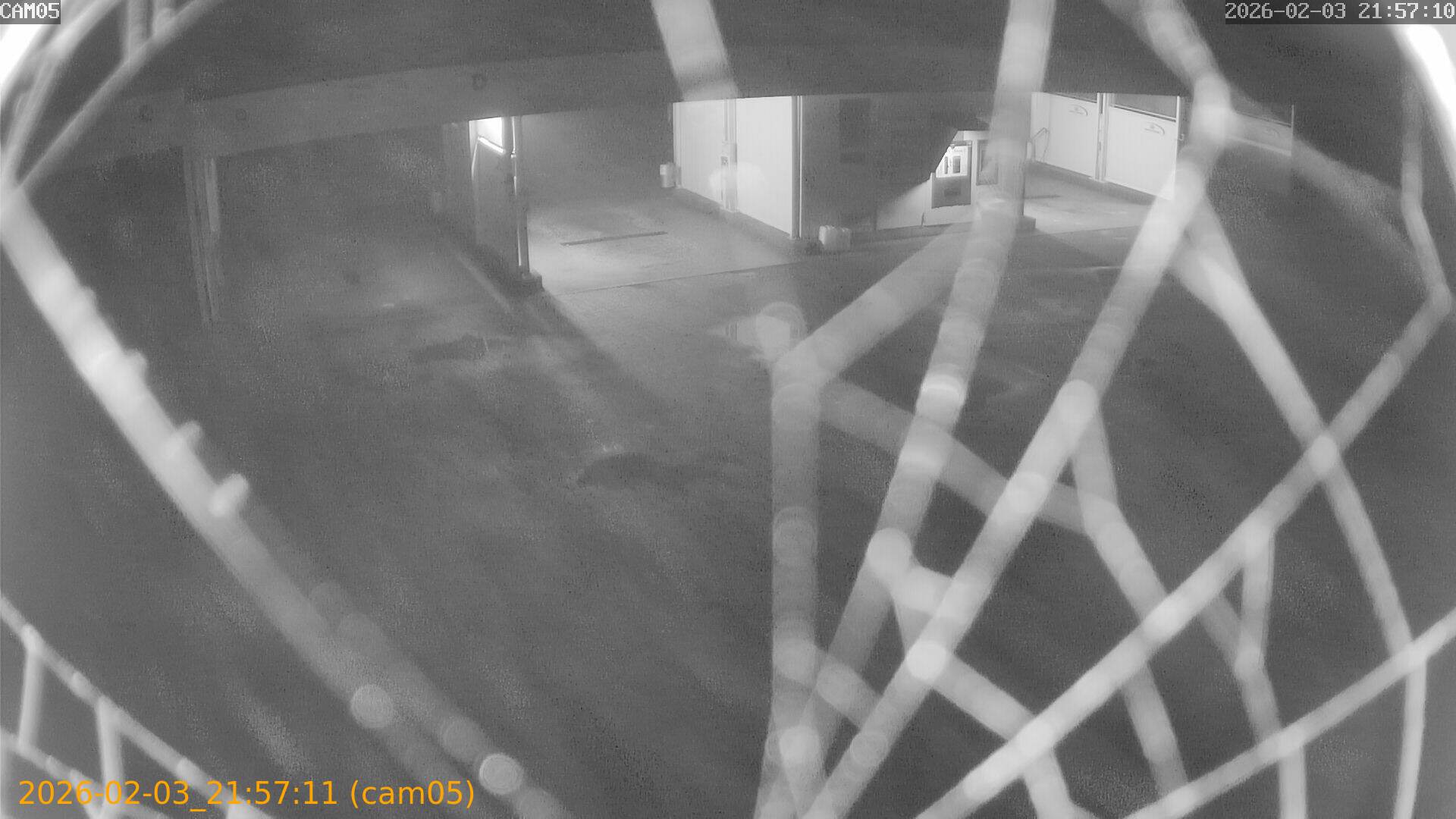 thumbnail_20260203215711