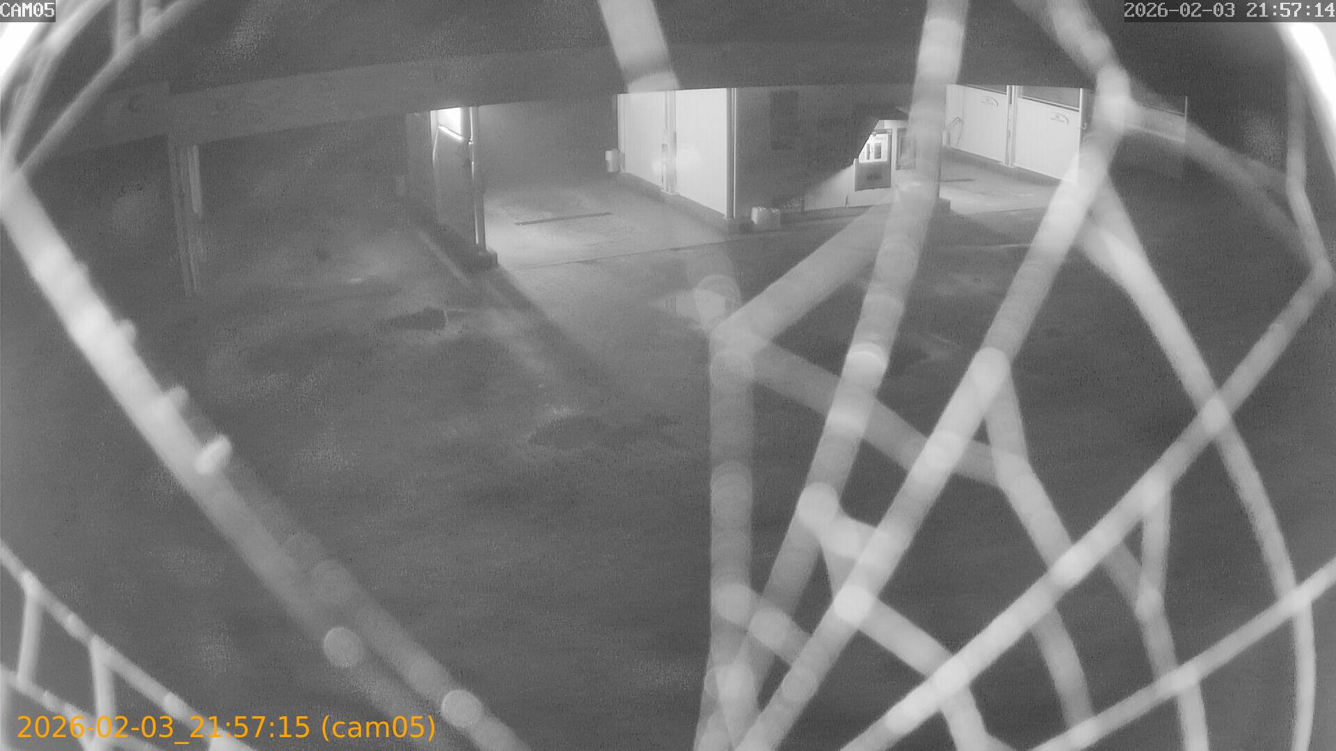 thumbnail_20260203215715