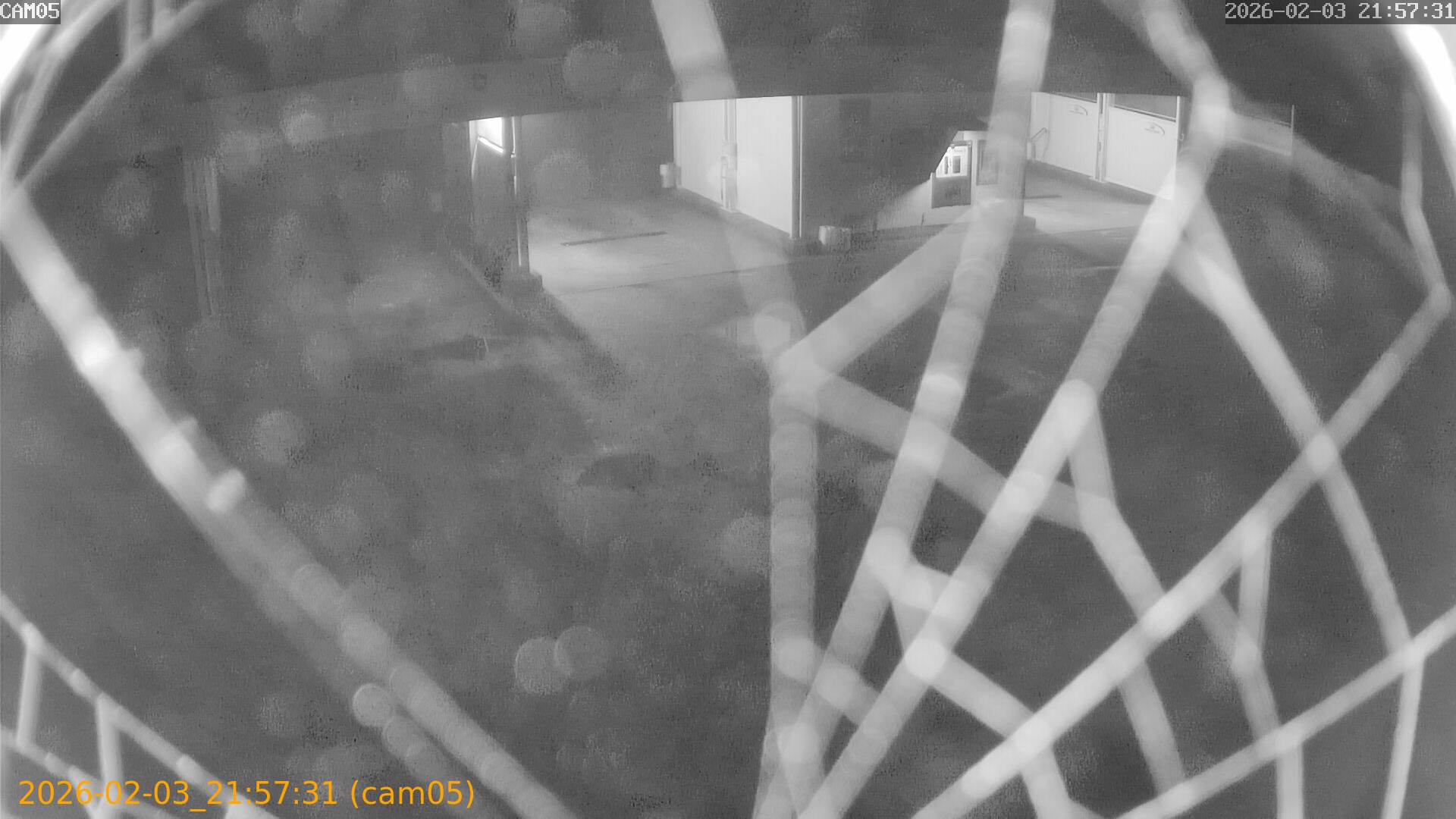 thumbnail_20260203215731