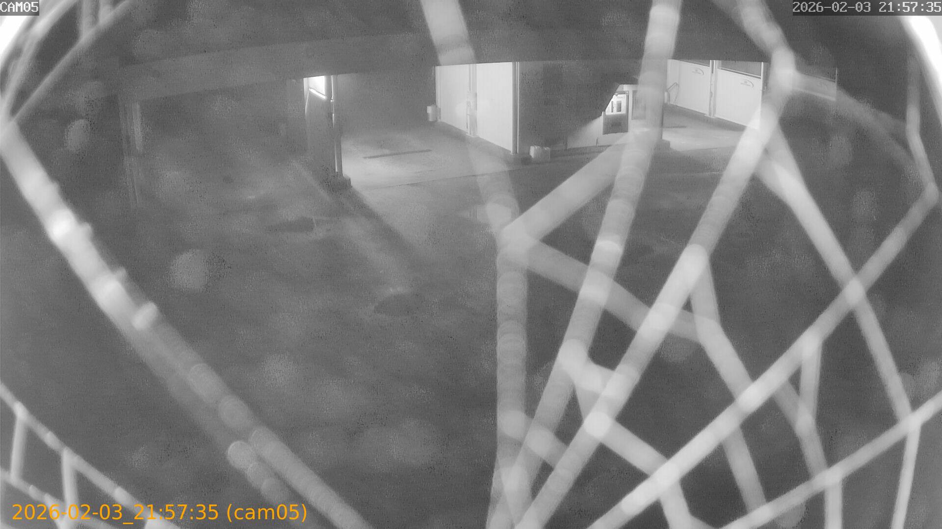 thumbnail_20260203215735