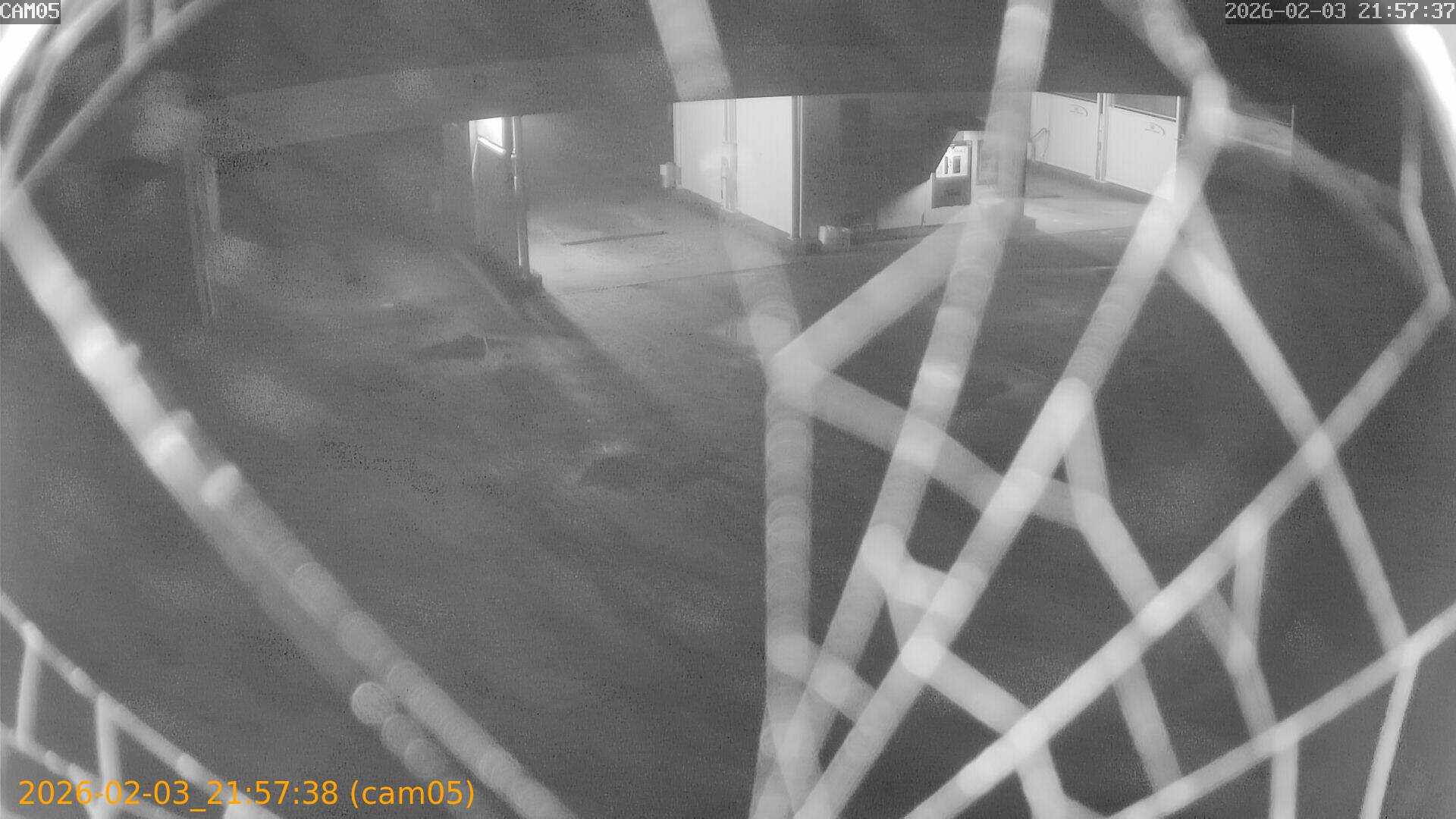 thumbnail_20260203215738