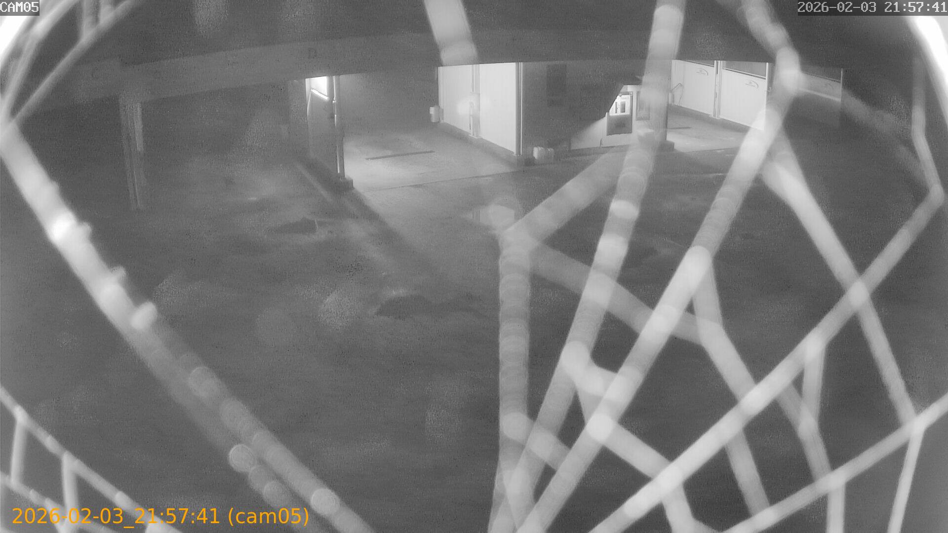 thumbnail_20260203215741