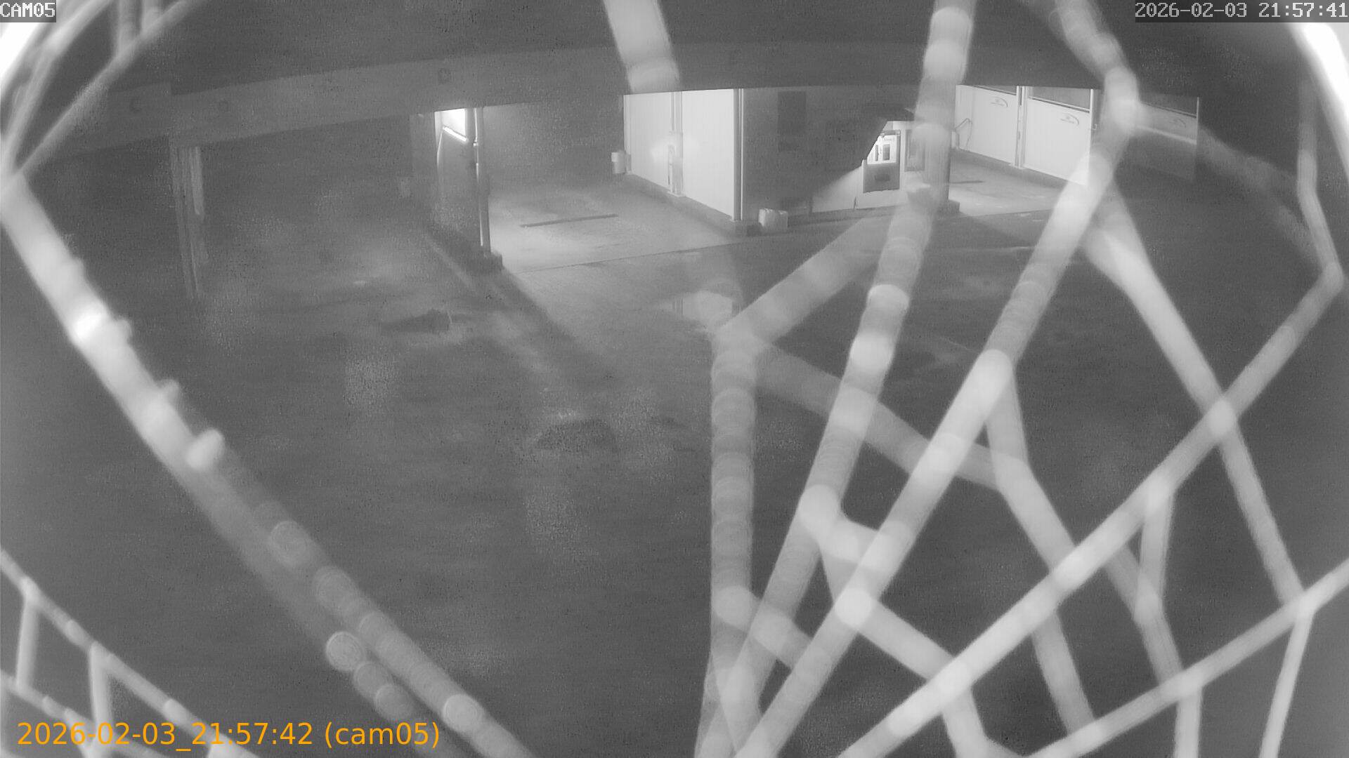 thumbnail_20260203215742