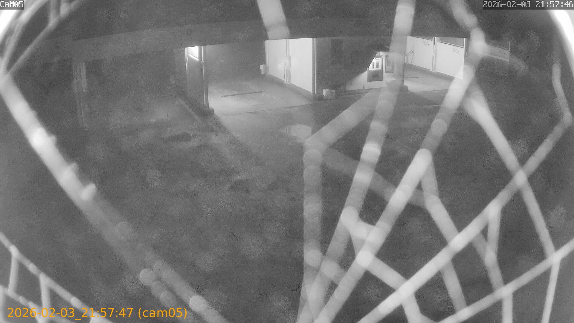 thumbnail_20260203215747