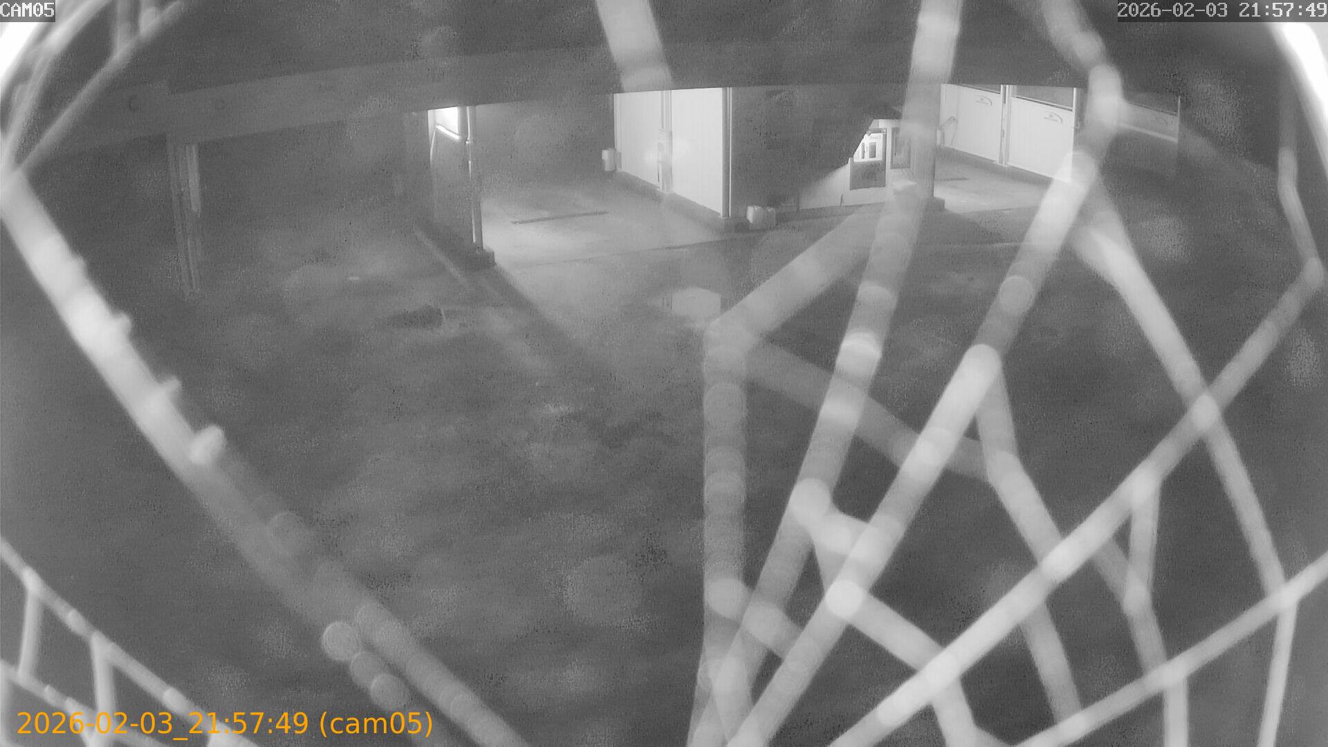 thumbnail_20260203215749