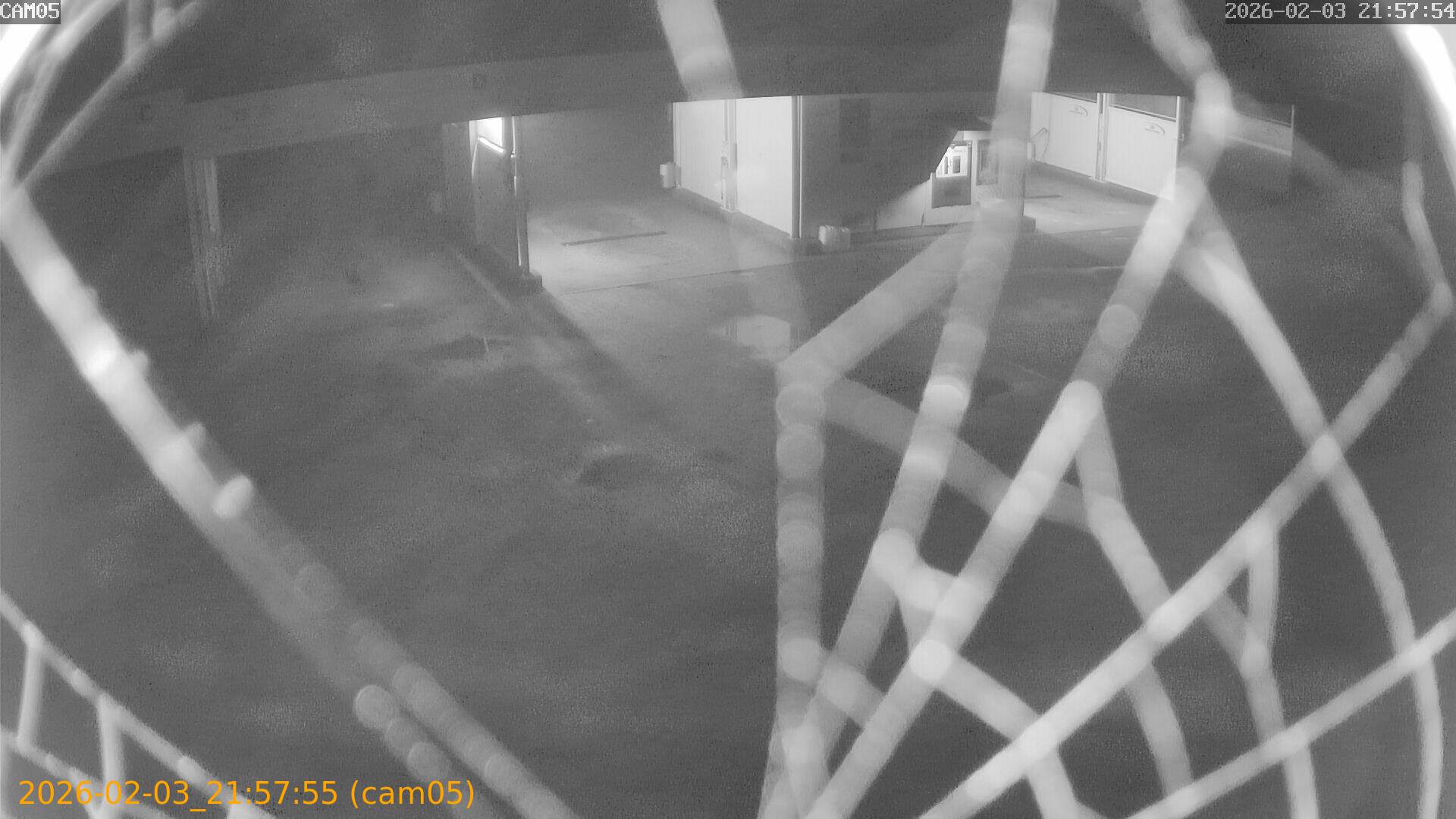 thumbnail_20260203215754