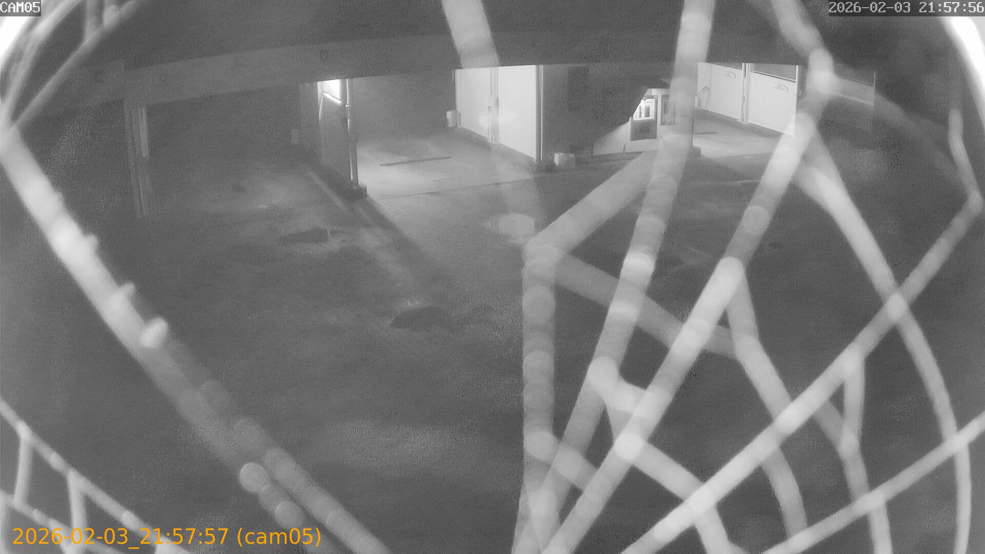 thumbnail_20260203215757