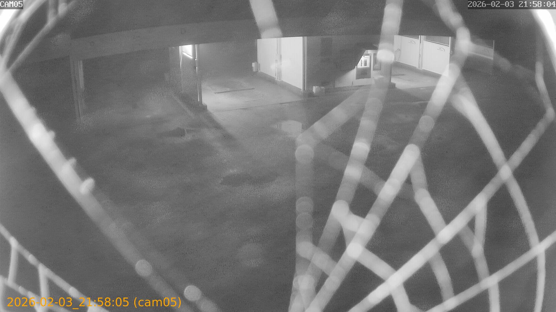 thumbnail_20260203215805