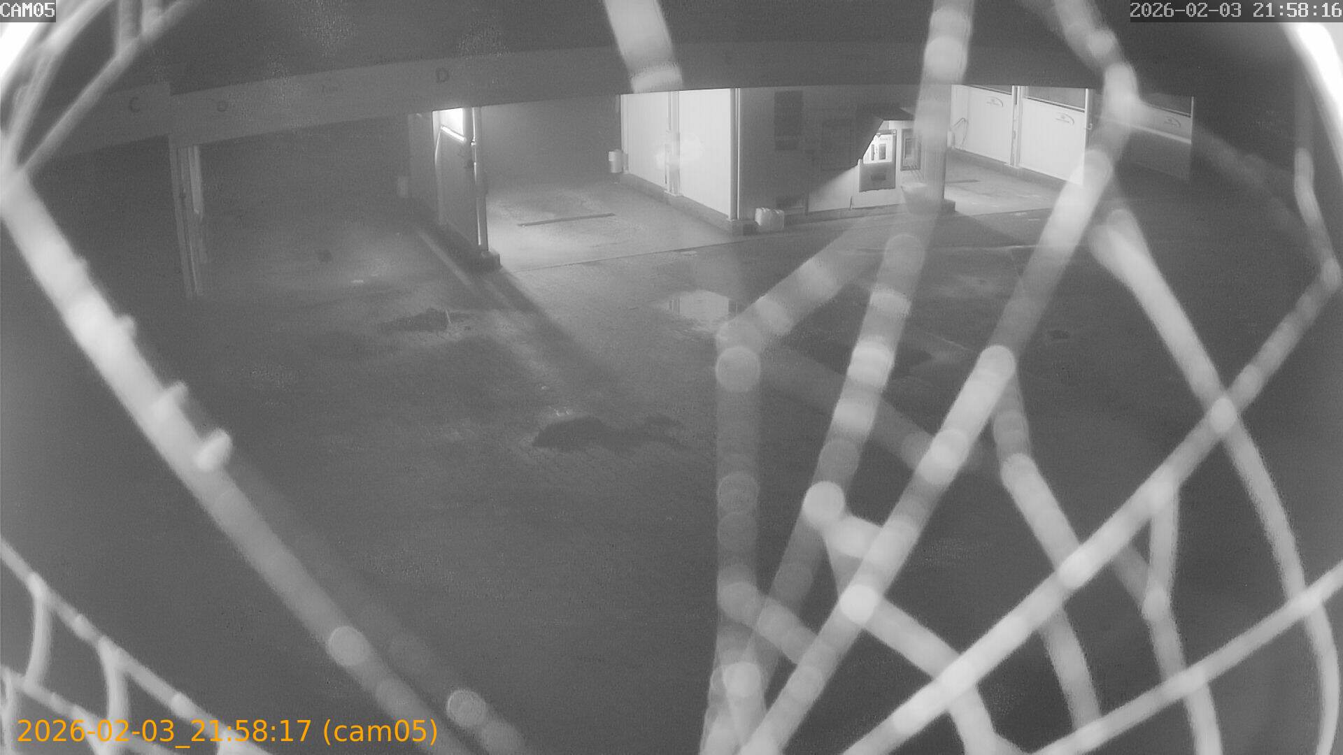 thumbnail_20260203215817