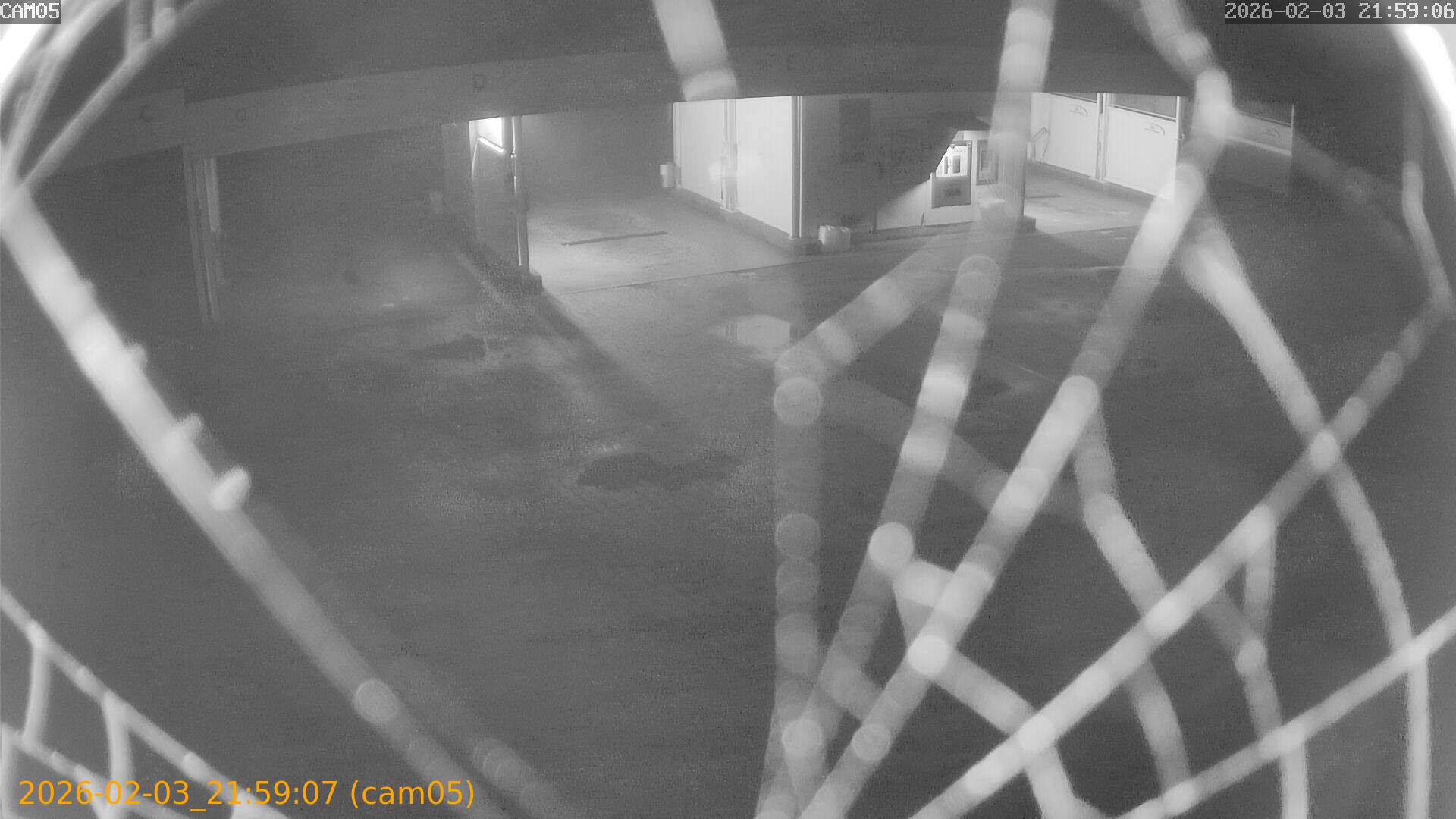 thumbnail_20260203215907