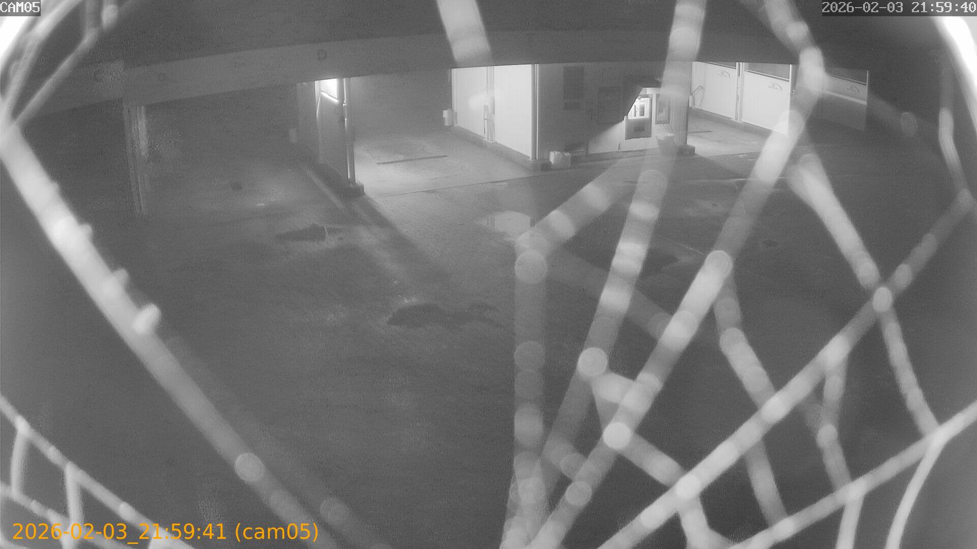 thumbnail_20260203215941