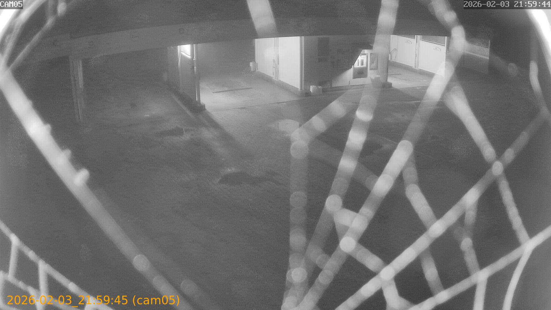 thumbnail_20260203215945