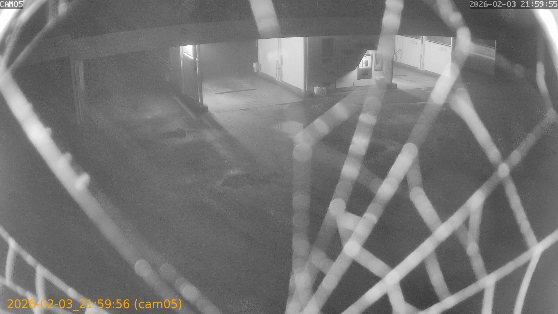 thumbnail_20260203215956