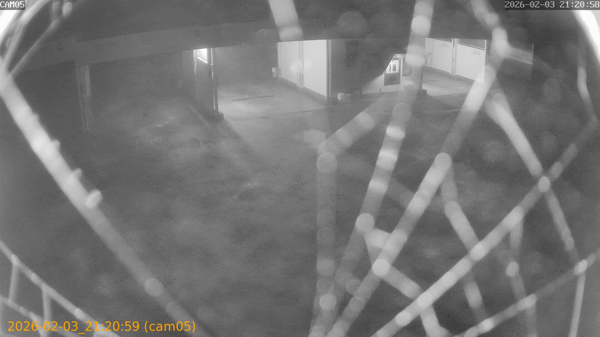 thumbnail_202602032120