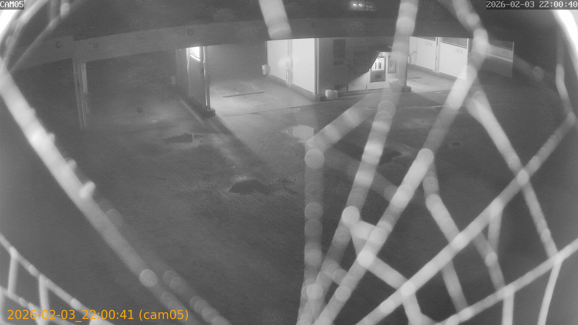 thumbnail_20260203220041