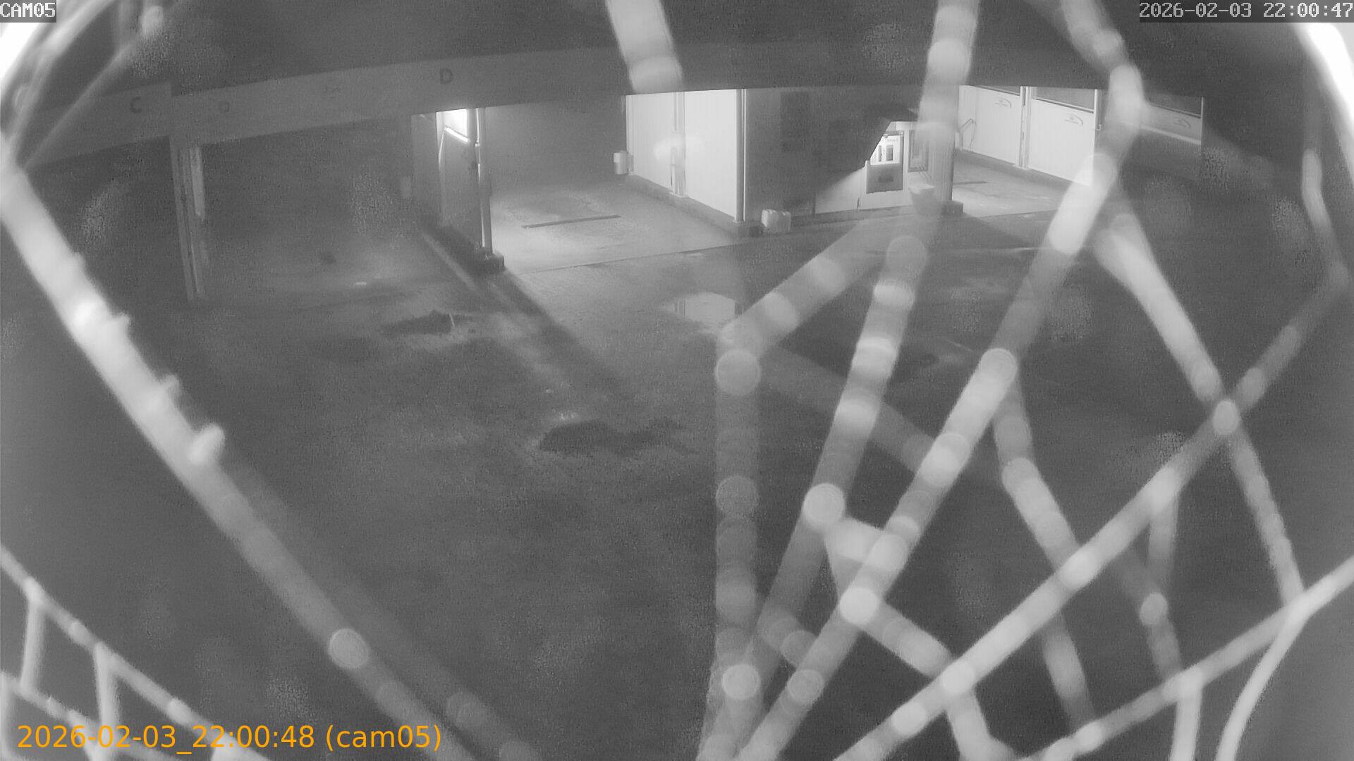 thumbnail_20260203220048