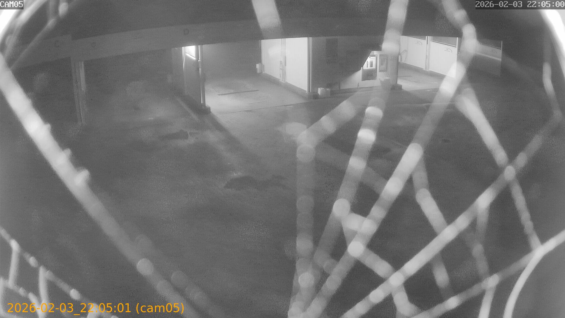 thumbnail_20260203220501